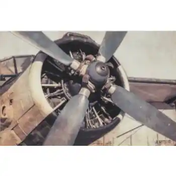 Yosemite Home Iron Bird Tempered Glass Wall Art Panel