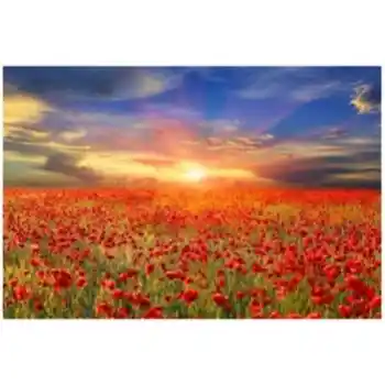 Yosemite Home All The Poppies Tempered Glass Wall Art Panel