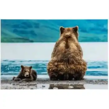 Yosemite Home By The Riverbank Tempered Glass Wall Art Panel