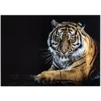 Yosemite Home Tigris II Tempered Glass Wall Art Panel