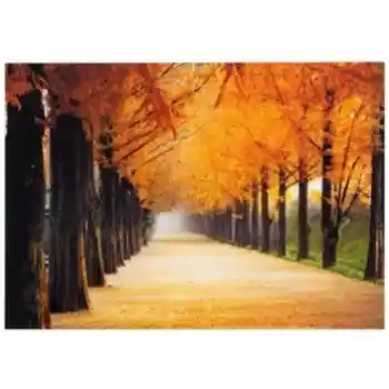 Yosemite Home Perfect Trail Tempered Glass Wall Art Panel