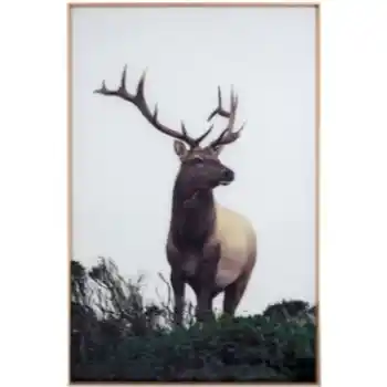 Yosemite Home Lone Elk Tempered Glass Framed Wall Art Panel