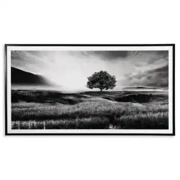 Ashley Tree in Rolling Fields Wall Art