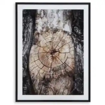 Ashley Natural Tree Wall Art